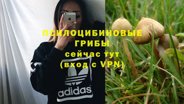 прущая мука Абдулино
